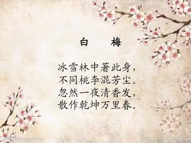 描写梅花的句子