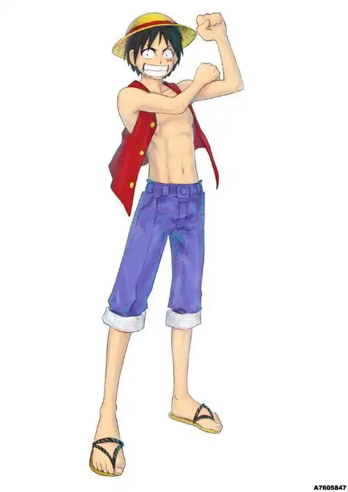 求海贼王路飞全身的图片.