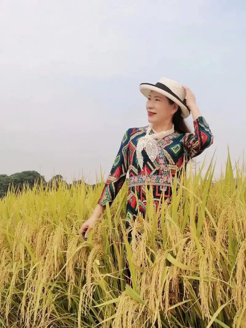 热点稻作公园的稻田金浪翻滚,五彩斑斓的稻种有500多个.最 - 抖音