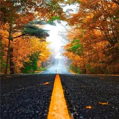 成熟男人微信头像风景2018风不识路才会没有归宿