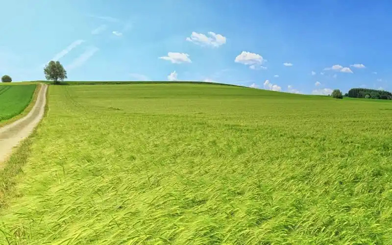 蓝天白云大草原:身临其境感受草原风光