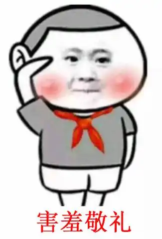 敬礼表情包(全套)