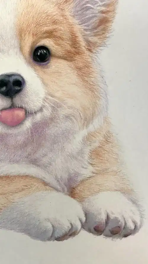 彩铅狗狗