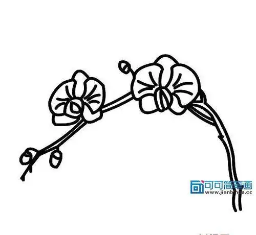 蓝楹花幼儿简笔画