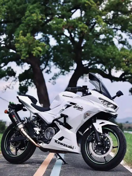 哈哈哈#川崎ninja400  #天蝎排气