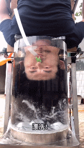 啥是佩奇野狼disco李子柒2019土味出圈