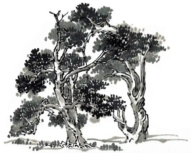 十年树木,百年树人,看那高入云天的大树,就知道年岁已久,图片中的树