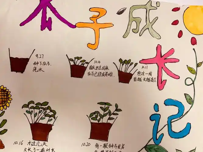 双中实验校附小一年级7班植物成长记录