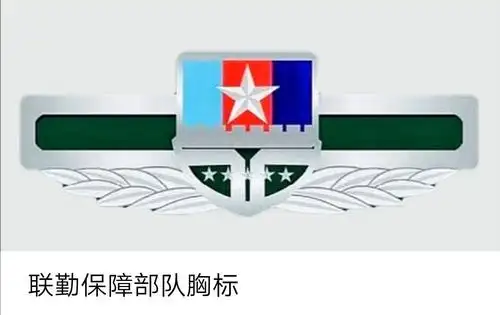战区胸标,陆军胸标,空军胸标,海军胸标,火箭军胸标,战略支援部队胸标