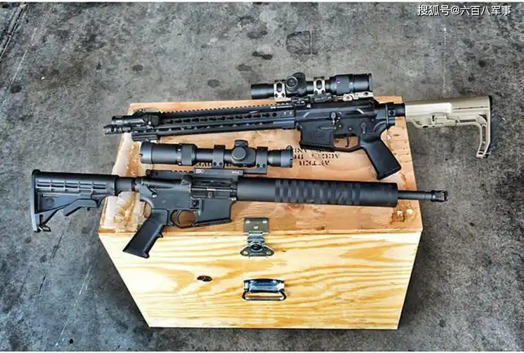 轻武器欣赏之步枪篇ar枪族又来了就说帅不帅