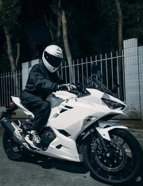 川崎ninja400改白色