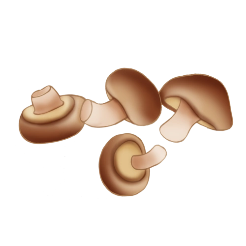 手绘卡通蔬菜香菇素材图片