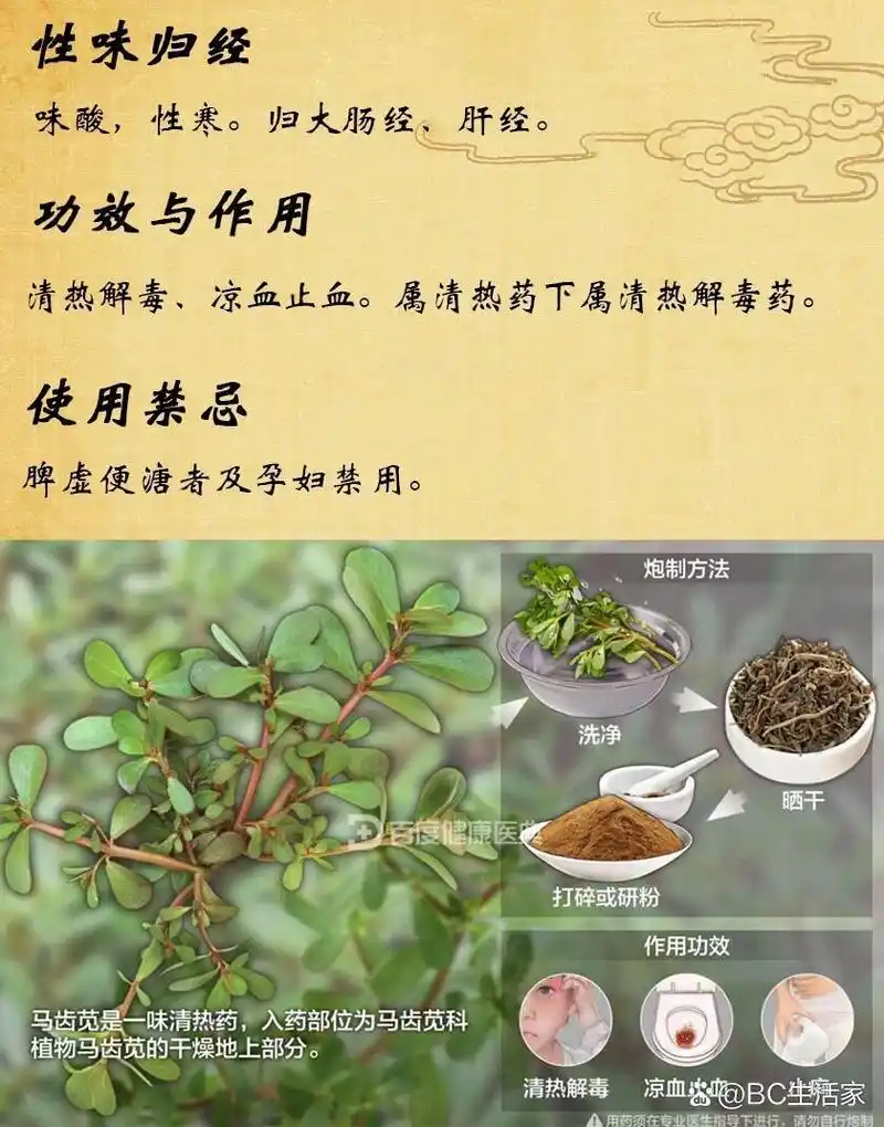 【中药名】马齿苋 【别名】瓜子菜,酸味菜,马舌菜,马齿草,马齿菜