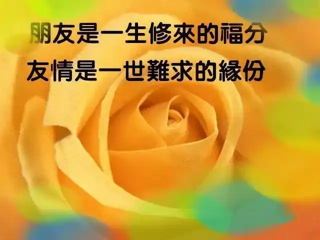 致我们生命中不离不弃的朋友能走过1年不容易能坚持2年值得珍惜能相守