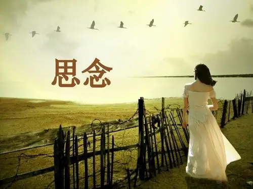 一丝忧伤,思念成灾. 远方的你:苹果平安果!