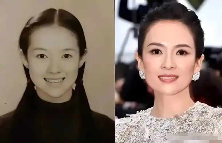 原创章子怡大学毕业答辩被指与刘浩存撞脸网友评论叫人哭笑不得