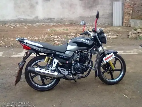 摩托车论坛 摩托车论坛 隆鑫摩托 03 支持民族品牌_隆鑫竣帅霸道