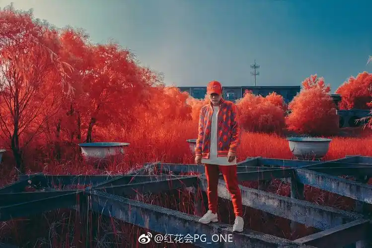 pgone - 堆糖,美图壁纸兴趣社区