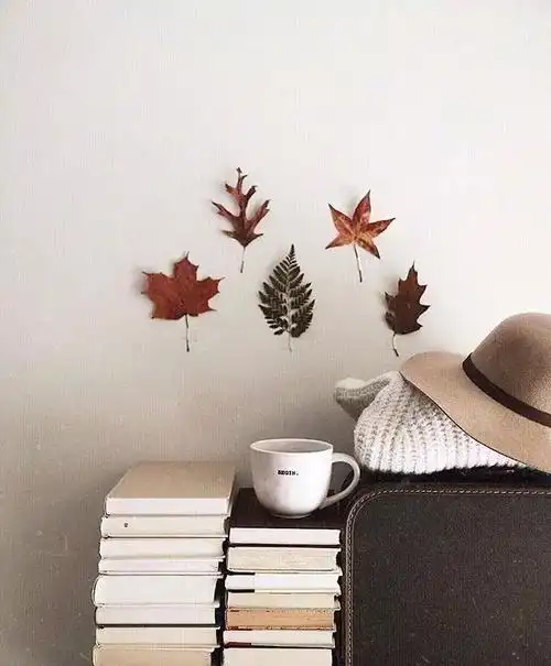 治愈系美图,看完心情美美哒