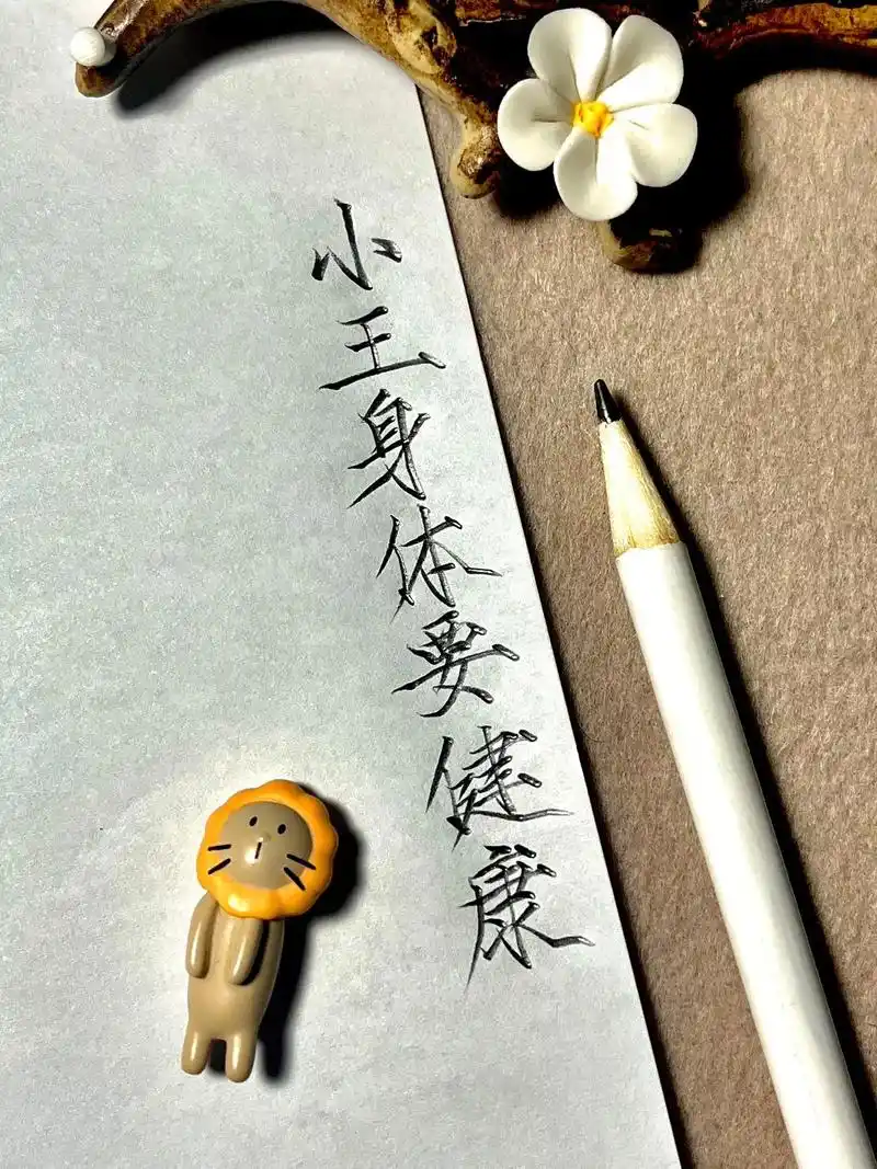 生活百般滋味,小王最有品味#瘦金体 #铅笔字 #硬笔 #硬笔 - 抖音