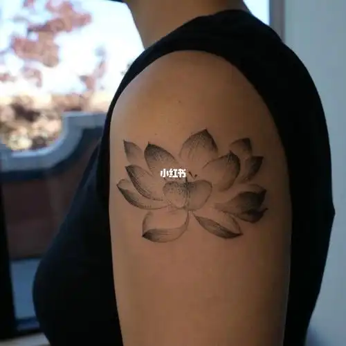 ins jessieke_#荷花纹身  #莲花纹身  #女生纹身  #西雅图纹身师