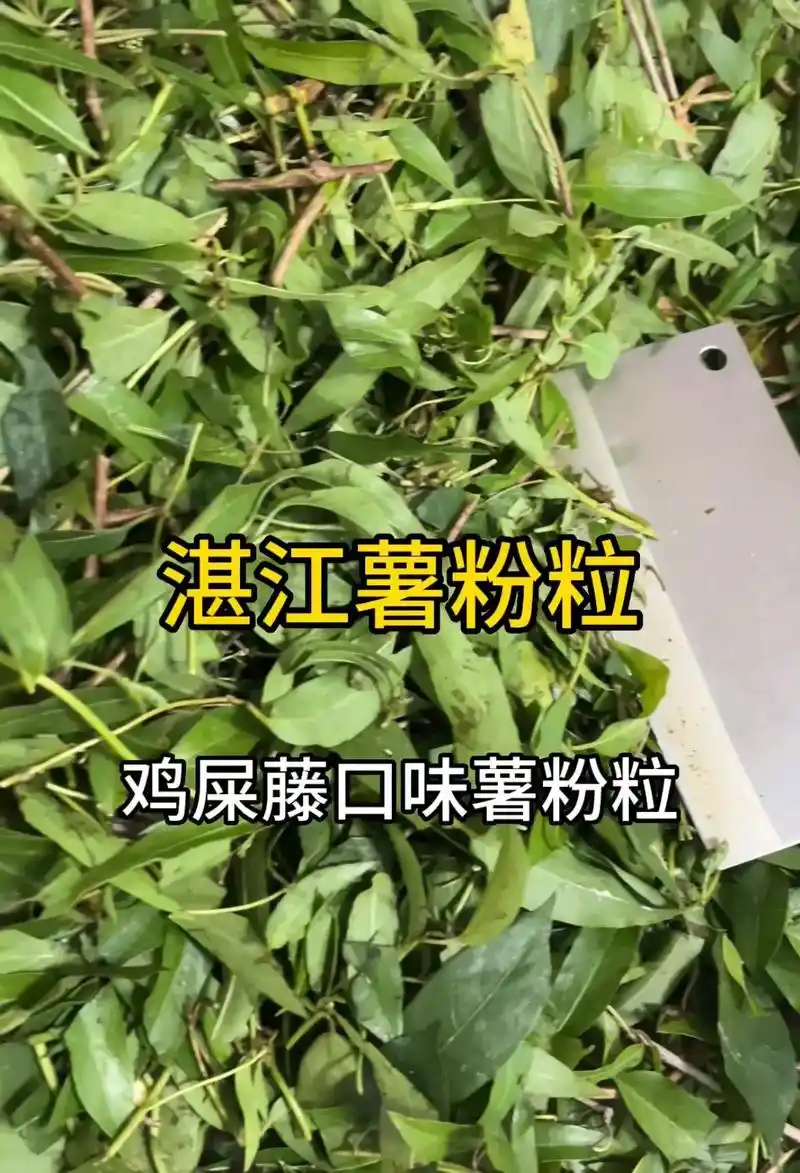 只有湛江人知道,这股味道好上头.鸡屎藤 闻着臭吃着香 对身体 - 抖音