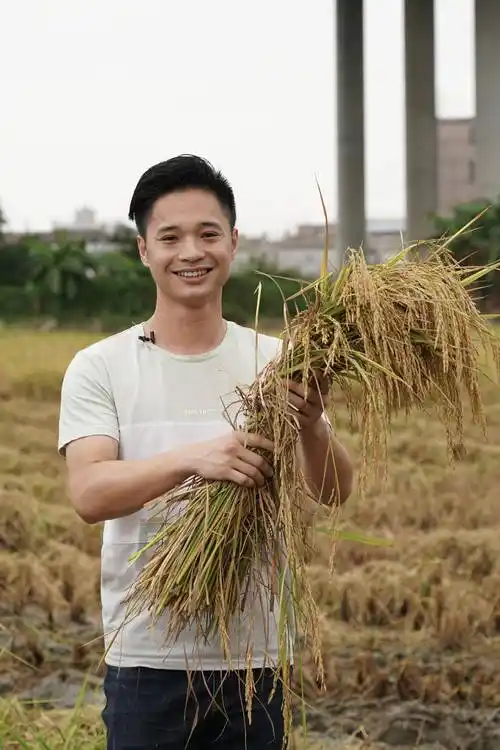 校企联手培养乡村ceo专家要把城市动能带入乡村