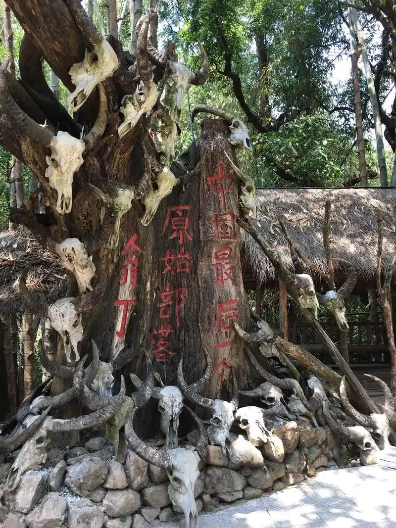 云南临沧沧源翁丁原始部落#只有照片能记录这份珍贵 - 抖音