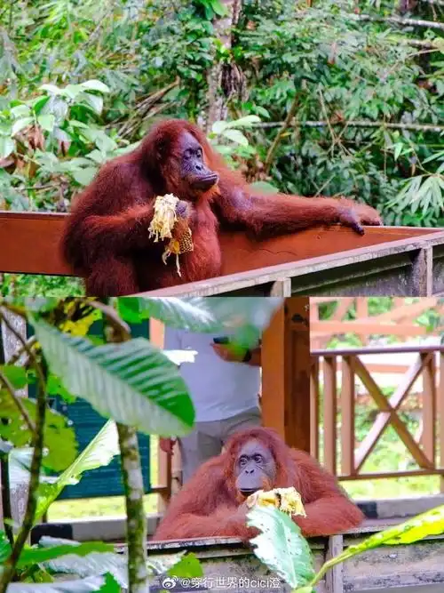 春游季##去春天里遛遛自己##出发吧拥抱世界##不止旅行