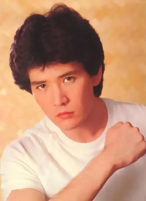 费翔|林子祥|林青霞|张曼玉|梅艳芳_网易订阅