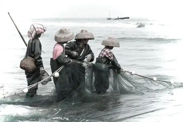 浅海捕鱼-----拉地网