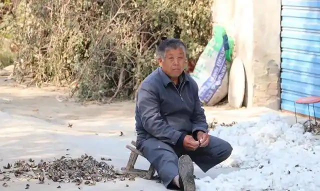 重阳节图片(大家看看农村老人的真实生活)-万思特网