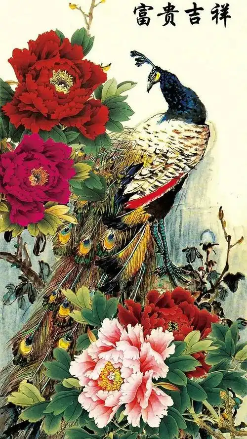 手机壁纸国色天香,富贵牡丹,锦绣前程