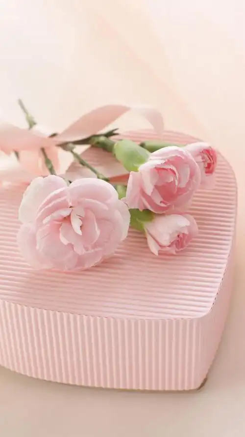 手机壁纸爱情浪漫图片