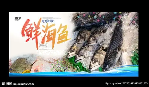 格式:psd(cs6)颜色:rgb30元(cny)×关 键 词:海鲜 吃海鲜 海鲜海报