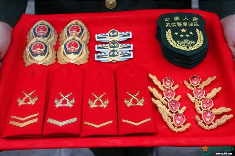领章了解, 中国武警的前世今生[原创]建国后武警领章,领花,肩章的变革