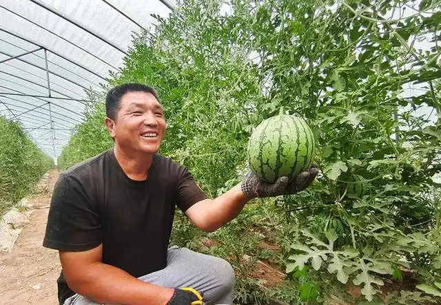 晋中市太谷区农业托管研讨会暨小白乡第五届西瓜节开幕