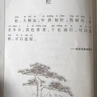 《小学生小古文100课》- 松