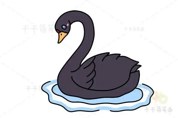 黑天鹅游泳简笔画卡通