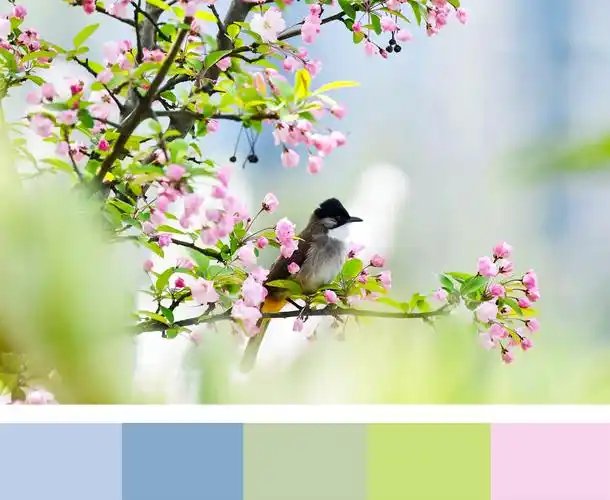 你眼中的春天是什么颜色