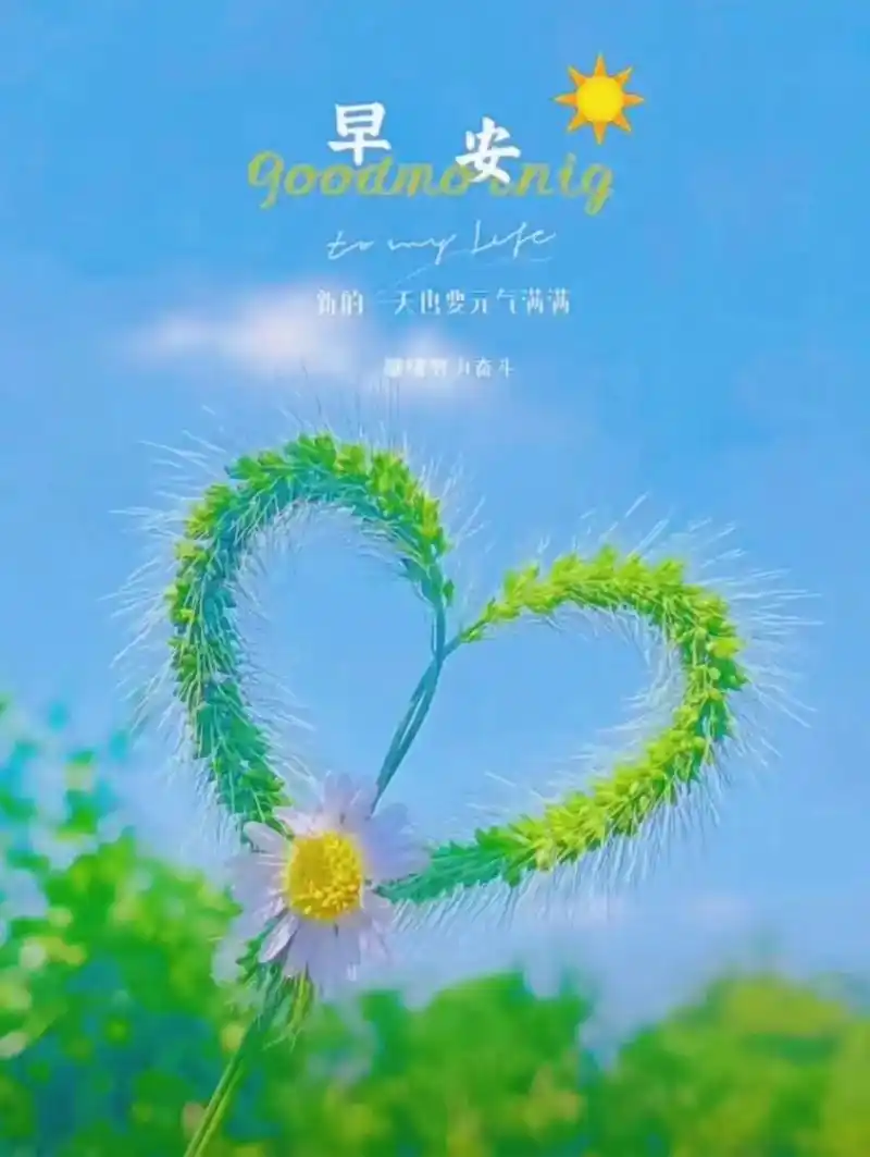 心情有多美,生活就有多好,坚持做一个乐观的人,面对阳光,努力 - 抖音