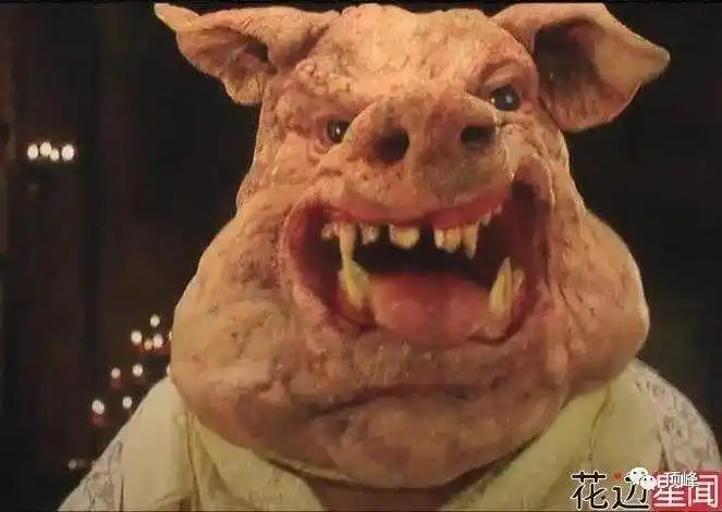 八戒长相很凶残,电视剧和动画片中的猪八戒看着圆头圆脑的挺可爱,但是