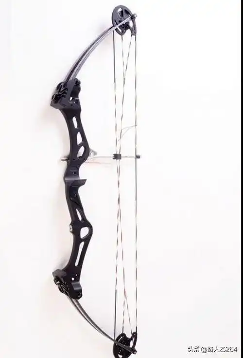常见的复合弓有哪些,什么品牌的最好?