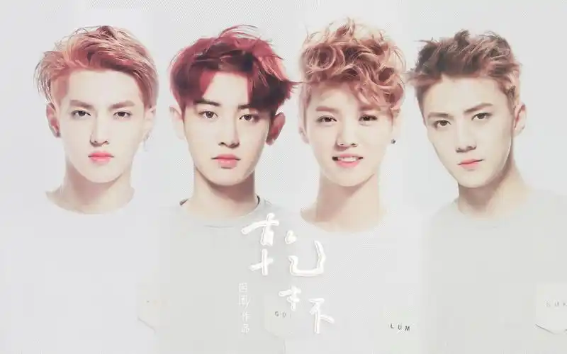 【四大门面】干杯(鹿晗/吴亦凡/朴灿烈/吴世勋)