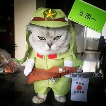 互米达宠物衣服狗狗猫咪衣服变身装直立装 搞怪鬼子装搞笑警长装日本