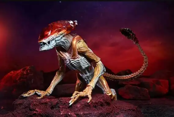 中科院院士相信宇宙中外星人存在科学家寻找发现过外星人吗