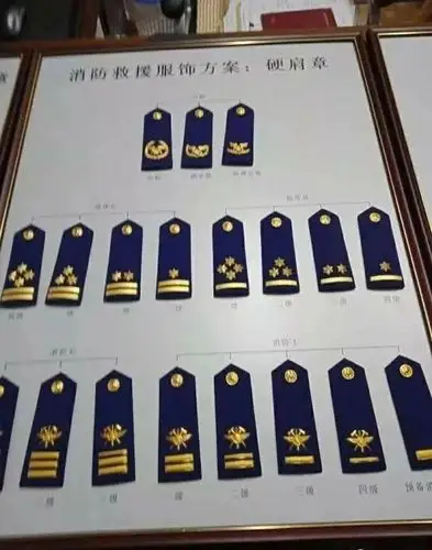 衔级里面,感觉几乎就是原来军衔肩章的缩影,同时