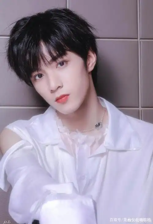 养成之光:tnt时代少年团忙内刘耀文