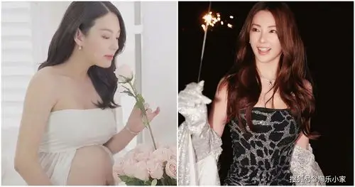 2017年10月诞下龙凤胎的张雨绮,怀孕时没曝光,都被外界质疑是否找人