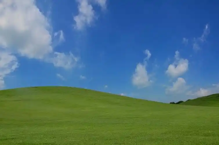 电脑以前是xp 现在用w7 声卡驱动也升级了 语音不行换回以前xp驱动